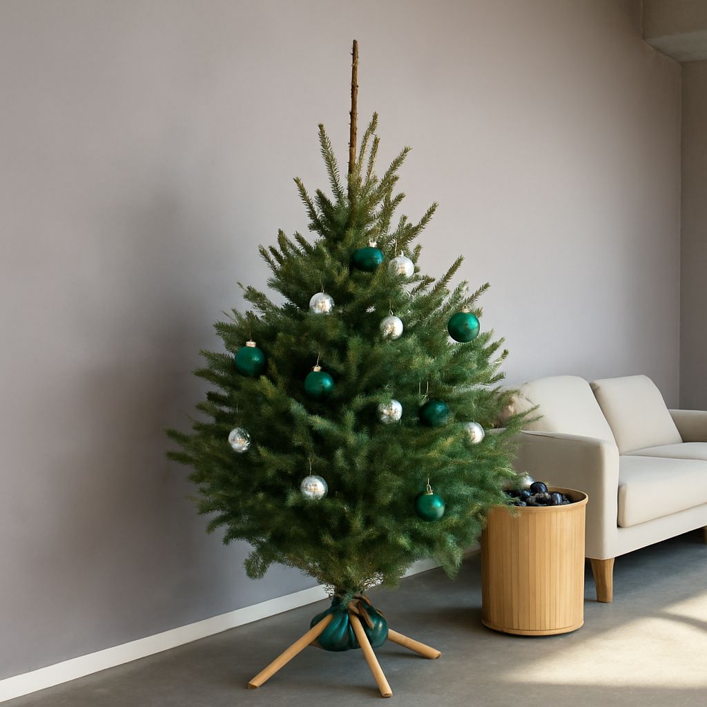 Various options of christmas tree stands and xmas tree stands for real trees
