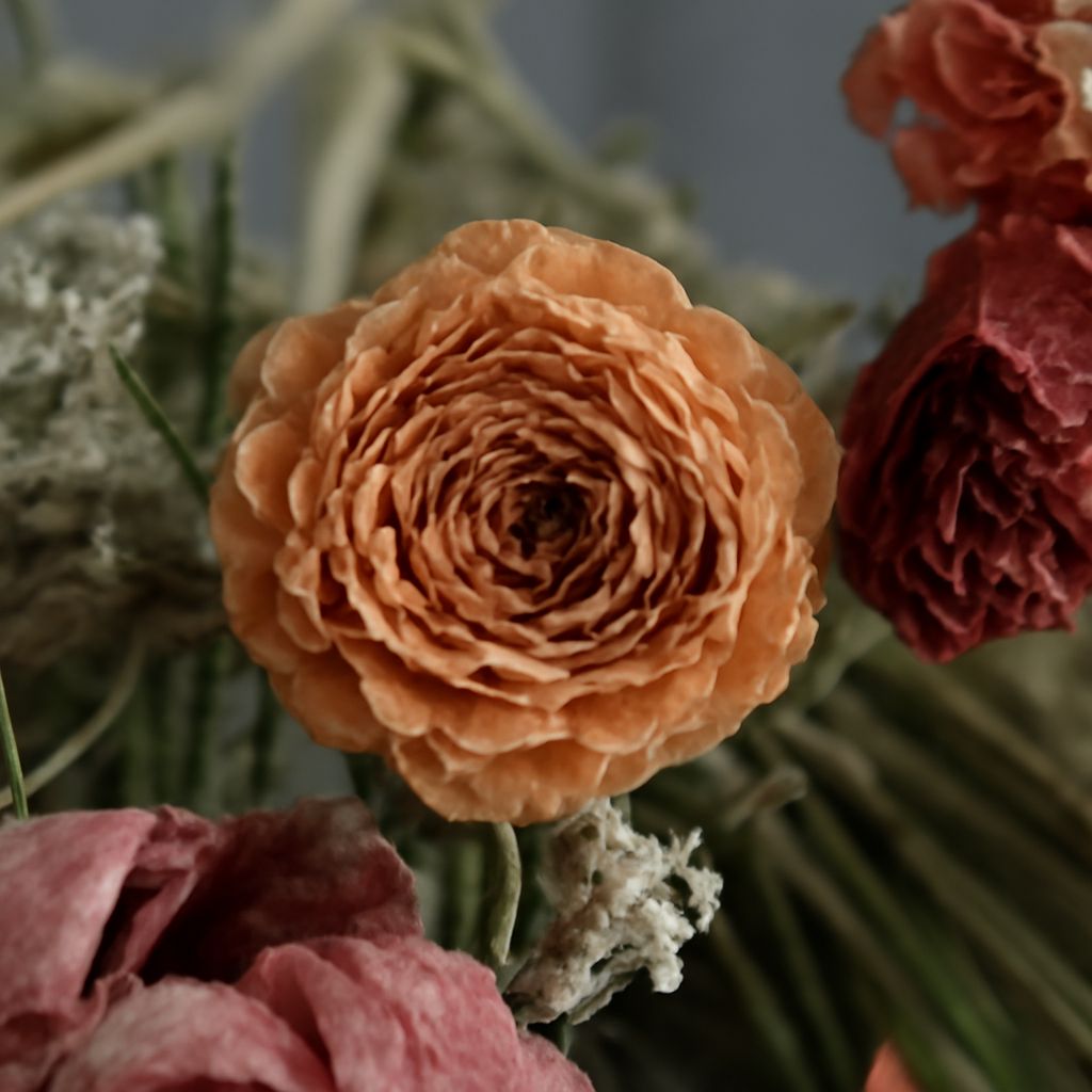 Beautiful dried flowers available in bulk and wholesale